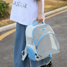 Double Shoulder Backpack Cat Bag Portable Foldable Pet Carrier