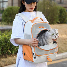 Double Shoulder Backpack Cat Bag Portable Foldable Pet Carrier
