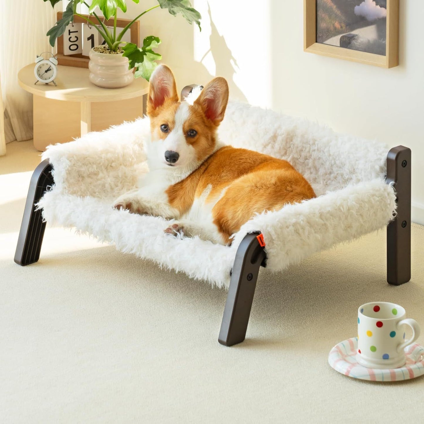 Raised Cat Bed - Elevated Plush 44lb Support