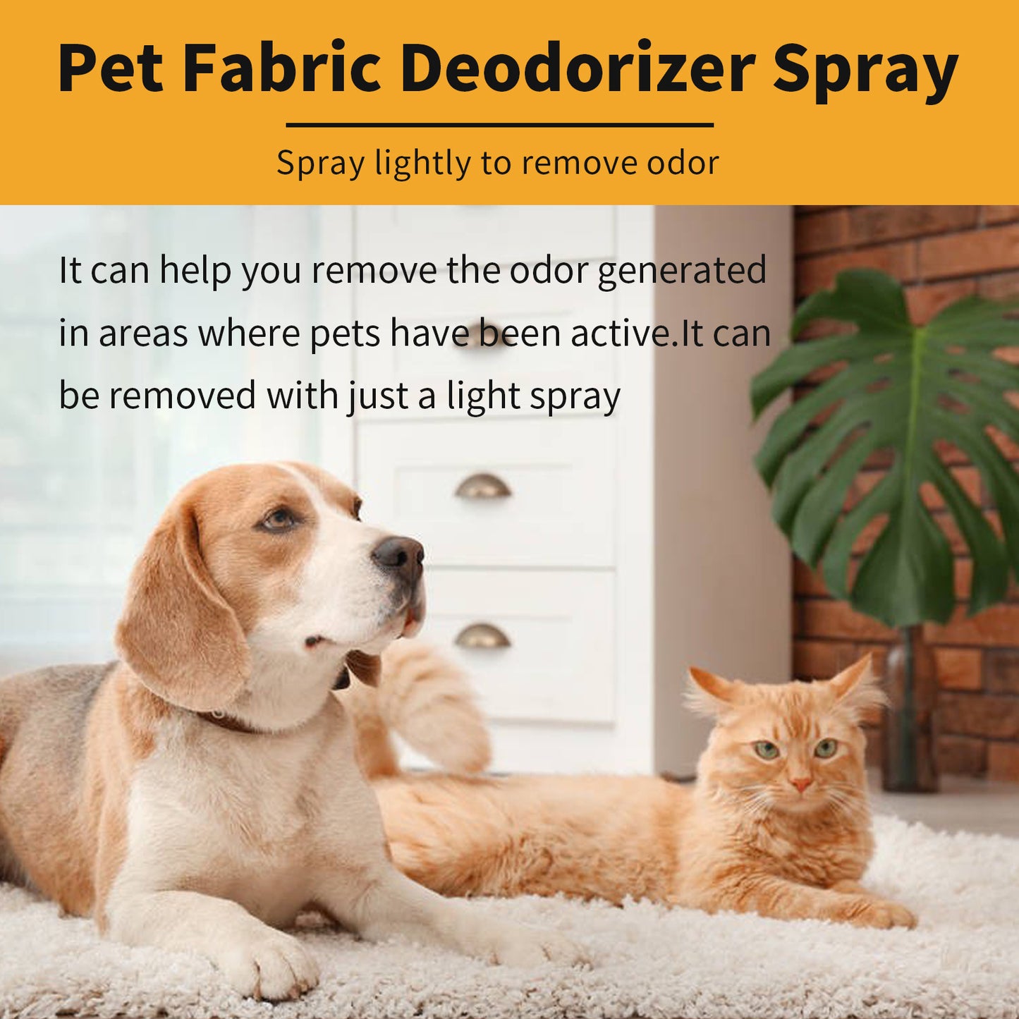Clean Pet Odor, Indoor Air, Long-lasting Fragrance, Deodorizer