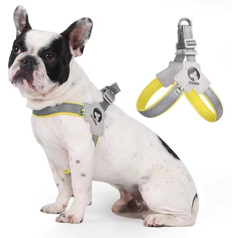 Wefulfil dog and cat harness in gray and yellow on a sitting French Bulldog with a close-up of the harness