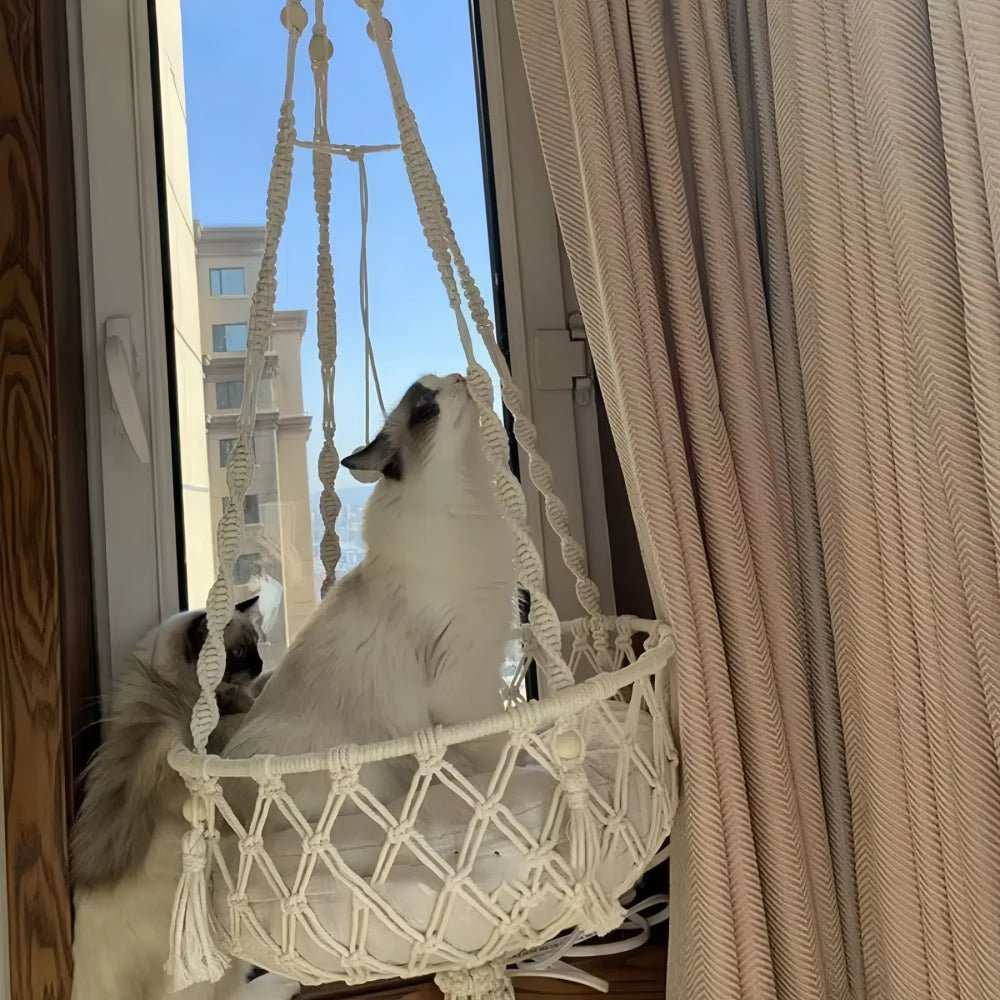 Purrfect Pet Haven Cotton Cat Hammock macrame hanging bed by window with two fluffy white and gray cats