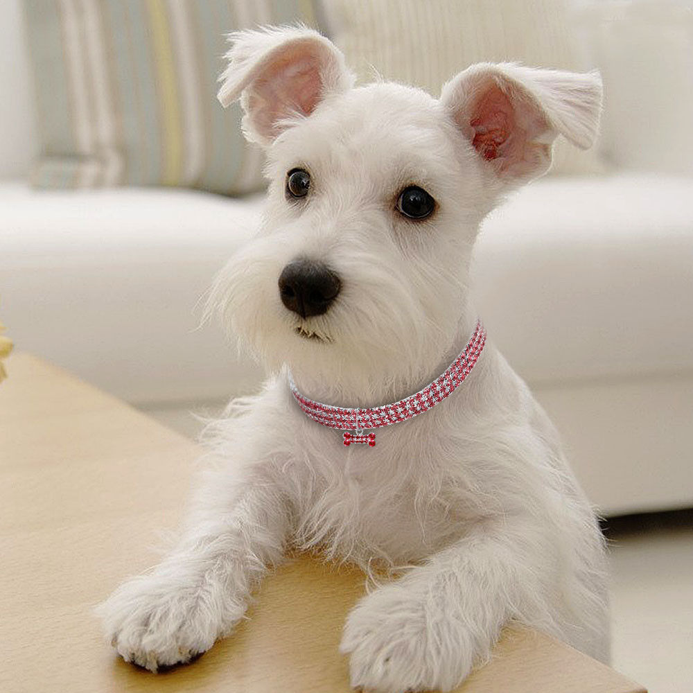Crystal Bling Rhinestone Dog Collar for Small Medium Dogs Cats