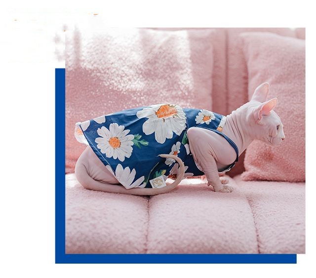 Cat wearing a floral dress on a pink couch