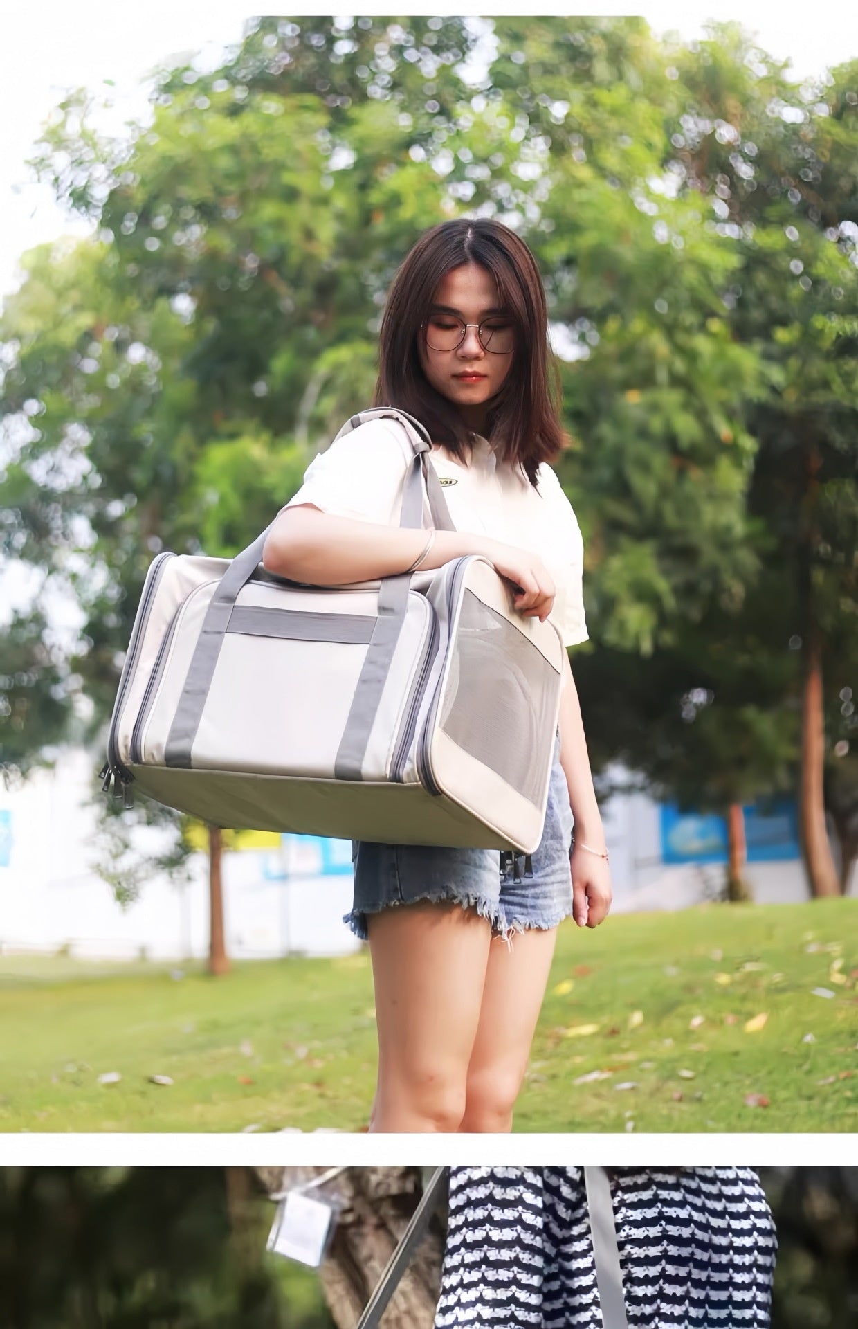 Portable Pet Carrier for Cats and Small Dogs - Breathable Travel Backpack