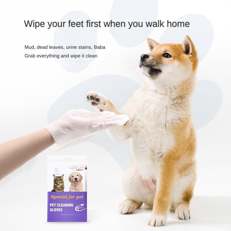 Wefulfil Coconut Oil Grooming Wipes for pets shown with pet cleaning gloves and a dog giving its paw