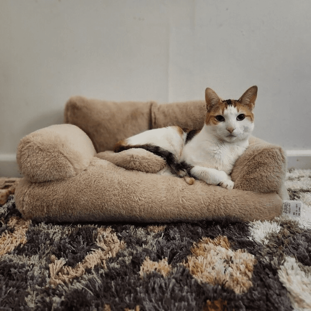 Purrfect Pet Haven plush beige Bed for Cats and Small Dogs with bolstered edges and lounging calico cat