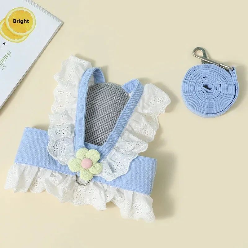 Pet harness and leash set with floral design on a beige background