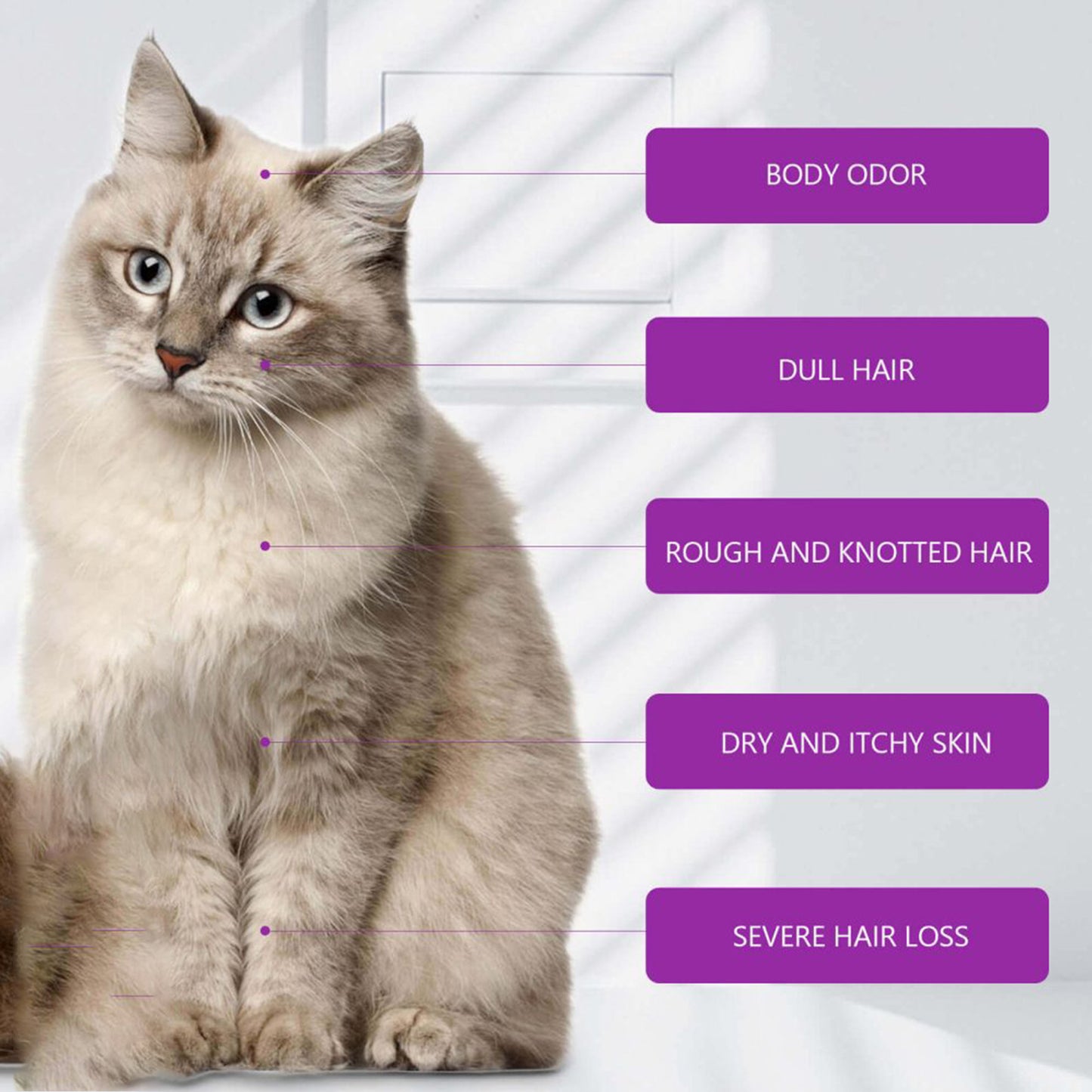 Pet Shampoo & Conditioner with Pure Lavender Essential Oils