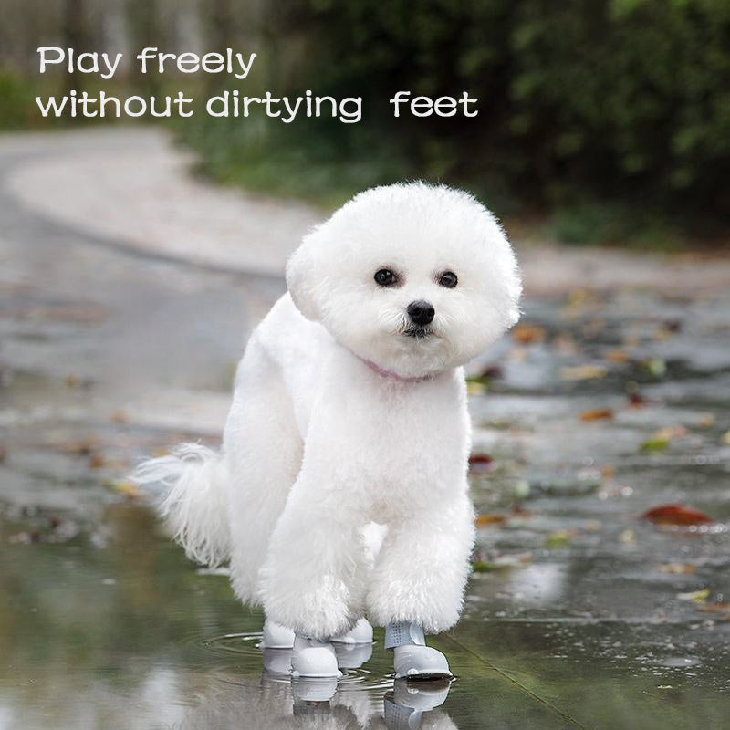 White fluffy dog wearing Wefulfil Dog 4 Piece Rain Boots standing on a wet path