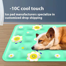 Pet Cooling Cold Pad Summer Cooling Pet Supplies - Small to XXL