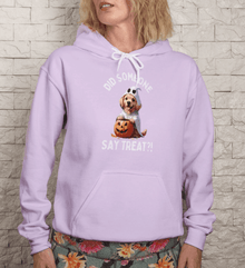 Did Someone Say Treats Hoodie Sweatshirt - Funny Dog Parent Pet Lover Hoodie - Purrfect Pet Haven