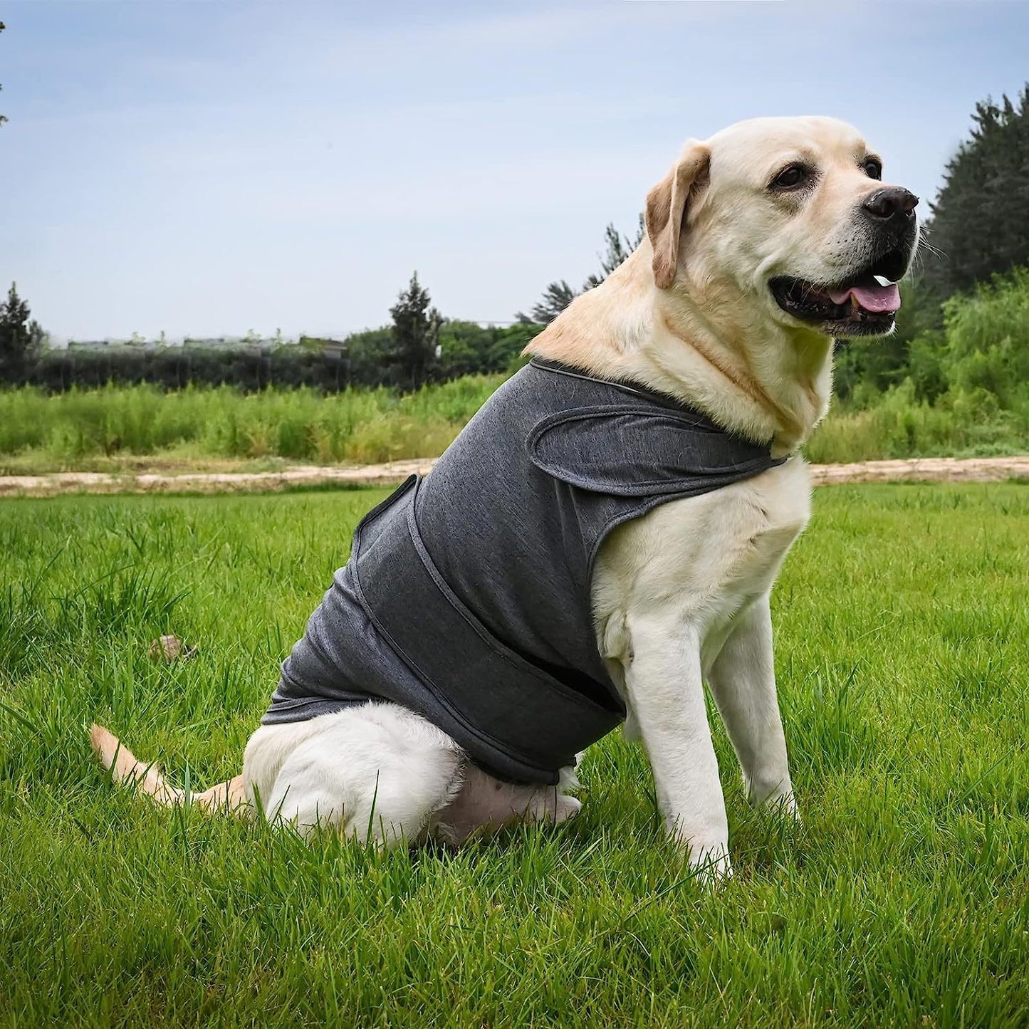Dog Anxiety Jacket - Breathable Thunder Vest