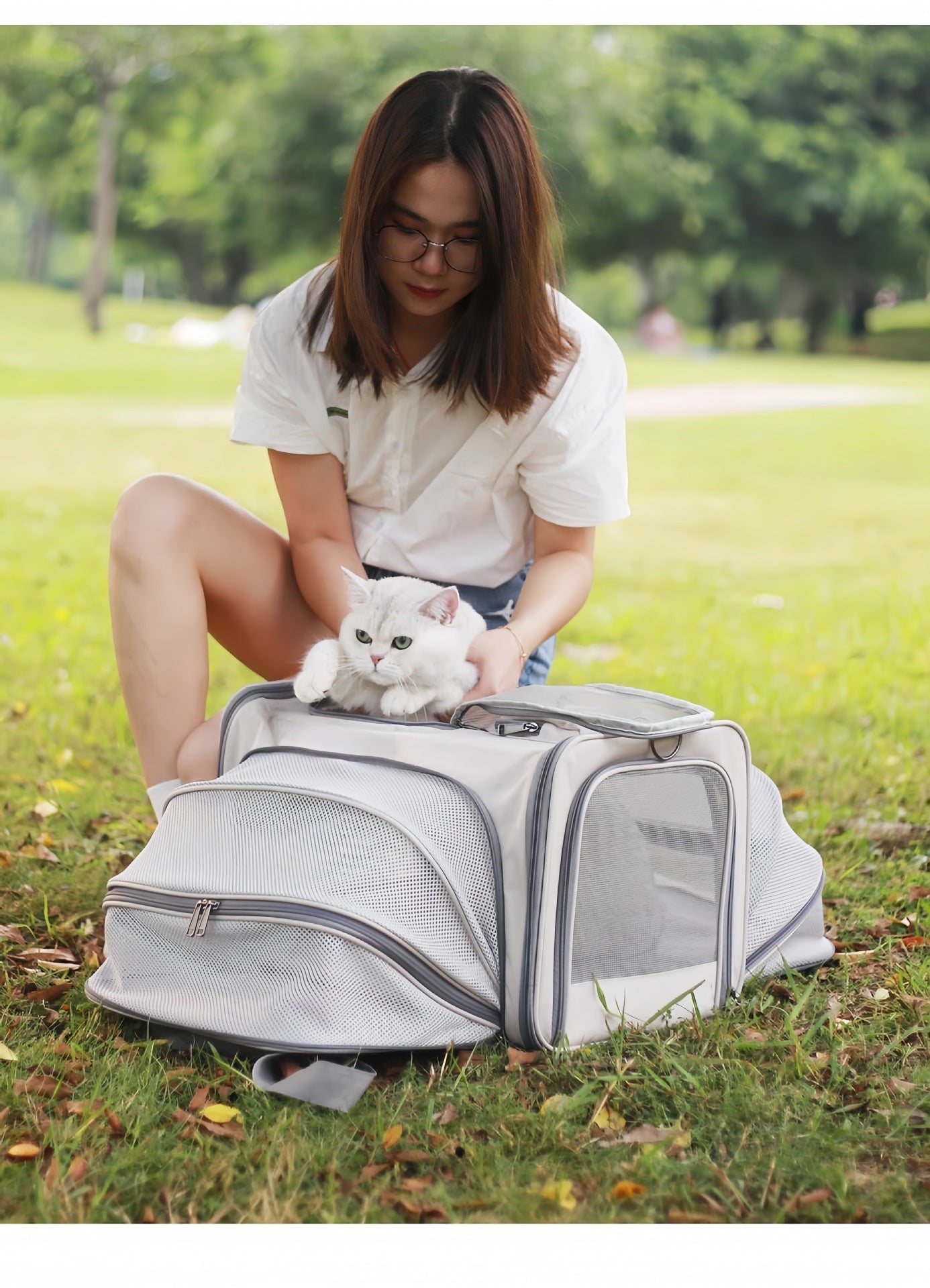 Portable Pet Carrier for Cats and Small Dogs - Breathable Travel Backpack