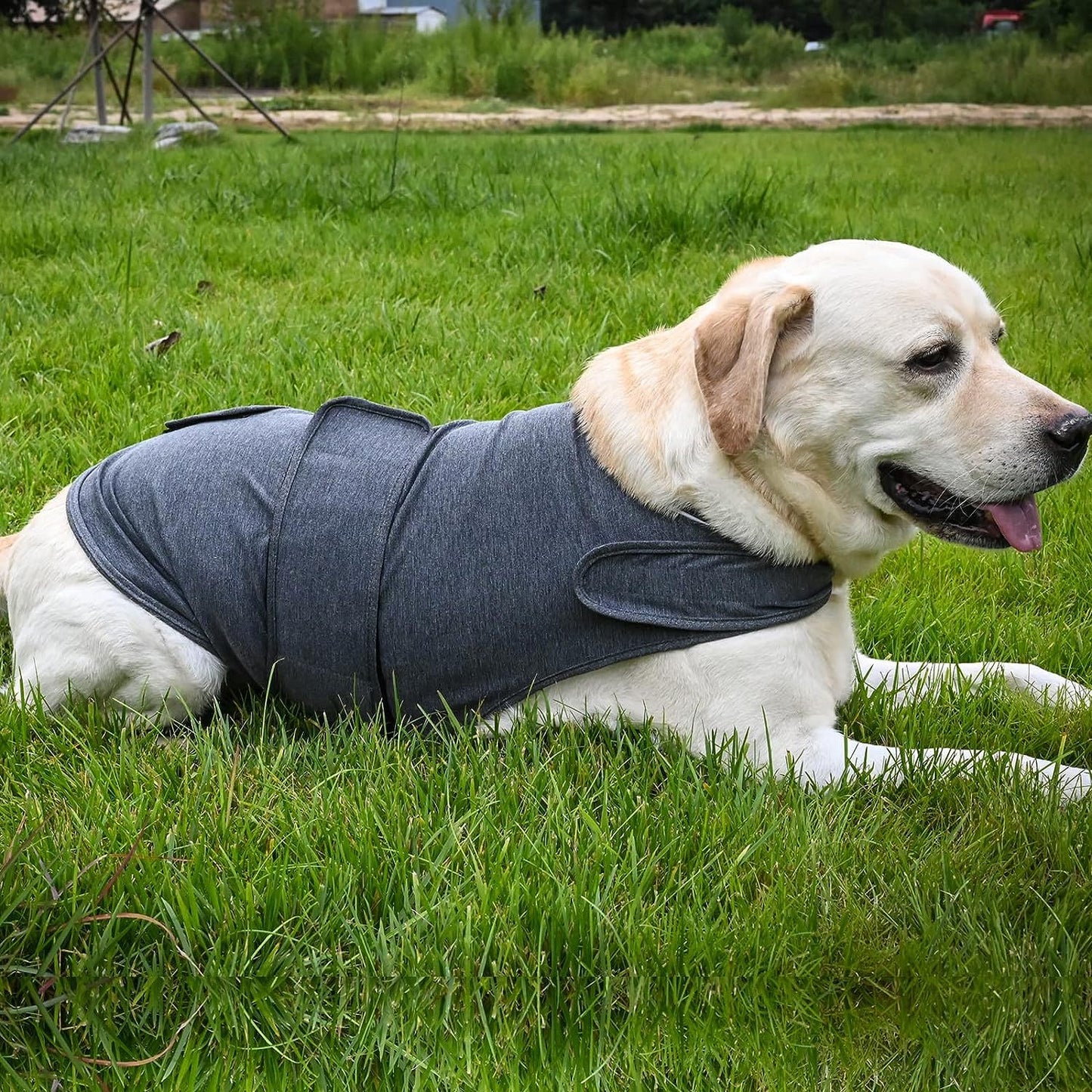 Dog Anxiety Jacket - Breathable Thunder Vest