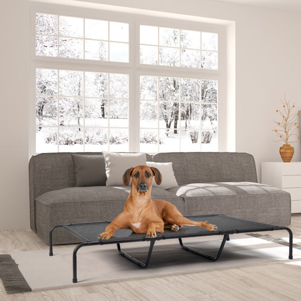 Dog lying on a pet bed in a living room with large windows showing a snowy outdoor view.