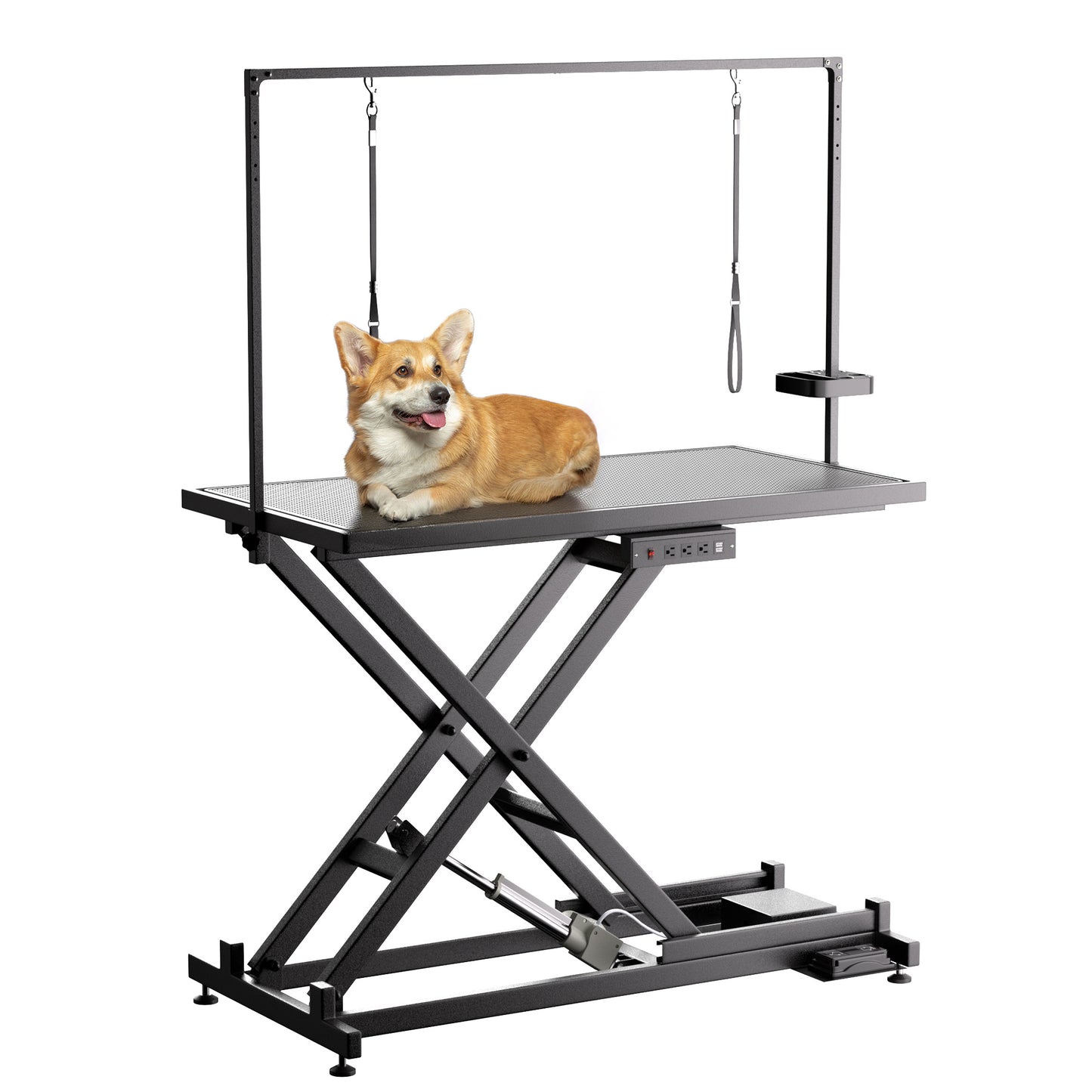Wefulfil height adjustable pet grooming table with hydraulic scissor lift grooming arm corgi on top