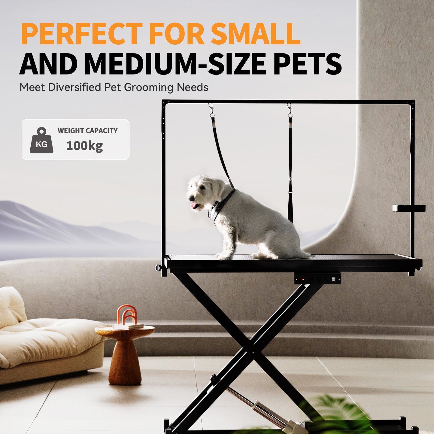 Wefulfil height adjustable pet grooming table with small white dog on black table and grooming arm