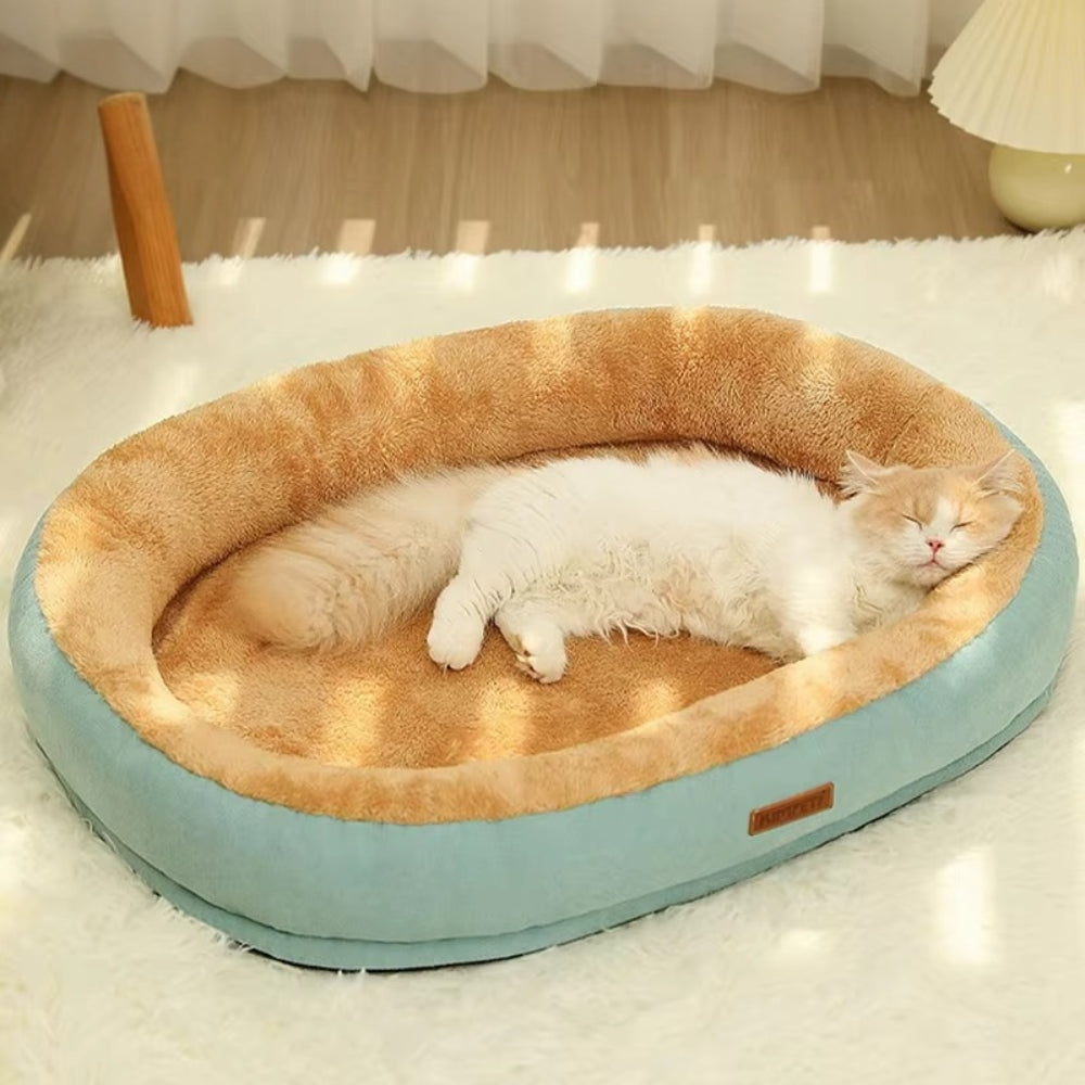 Purrfect Pet Haven Plush Oval Pet Bed in light blue with tan plush interior and sleeping cream cat