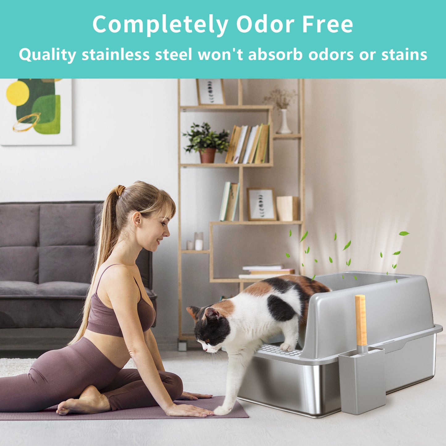 Wefulfil pet supplies large 6 inch bottom basin stainless steel odor free cat litter box
