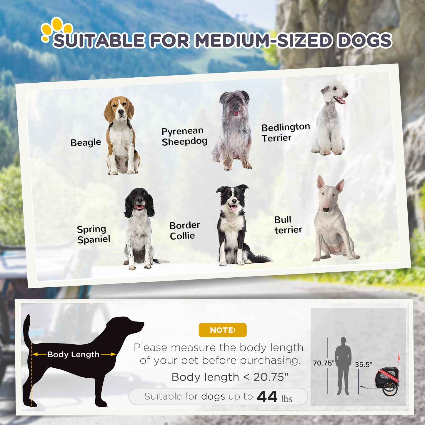 Medium-sized dog breeds suitable for Wefulfil Large Wheel Dog Bike Trailer with body length and weight guidelines