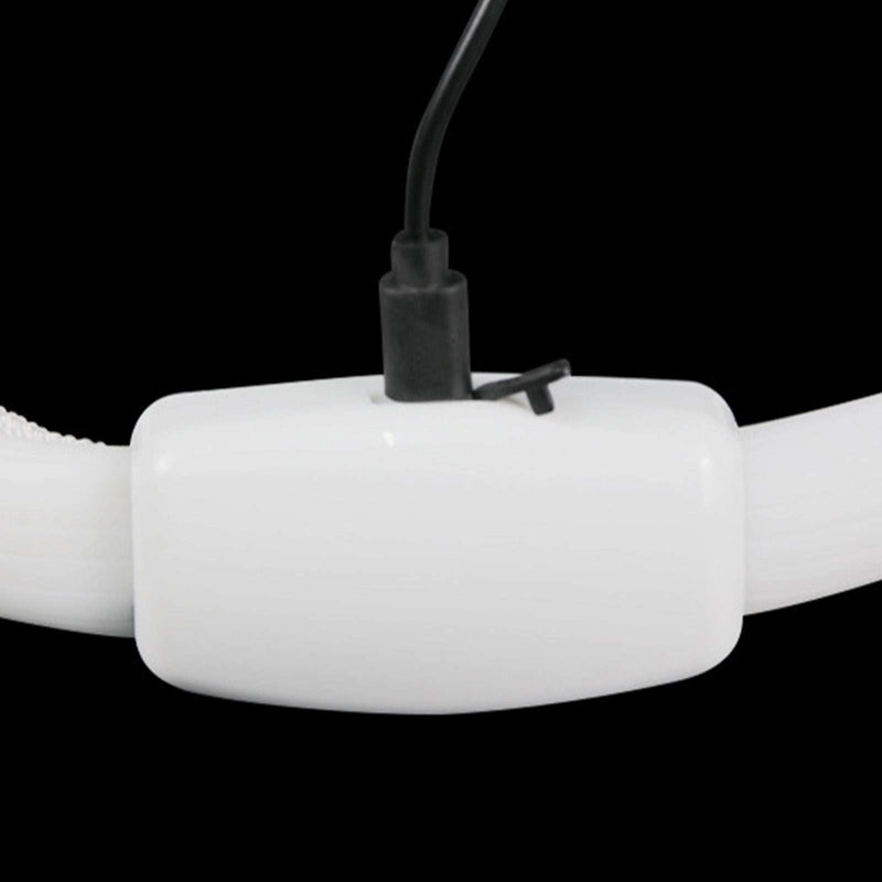 Close-up of LED Lighted Dog Collar with charging port for nighttime visibility and safety