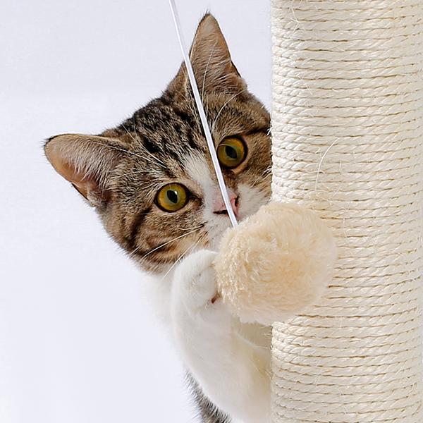 Wefulfil indoor cat scratching board with sisal post and dangling plush ball tabby cat playing