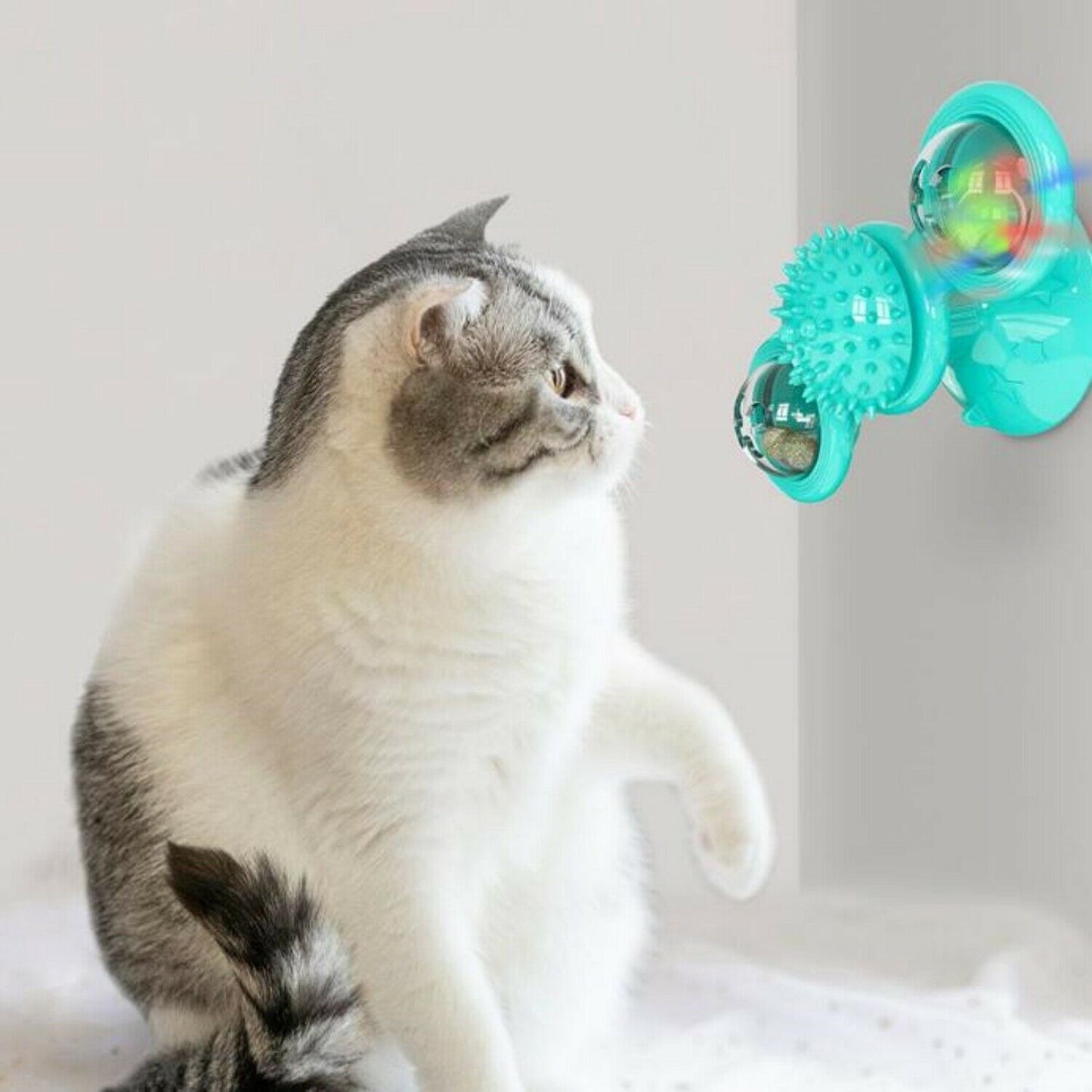 Wefulfil Massager Cat Toy in turquoise mounted on wall with a curious gray and white cat playing