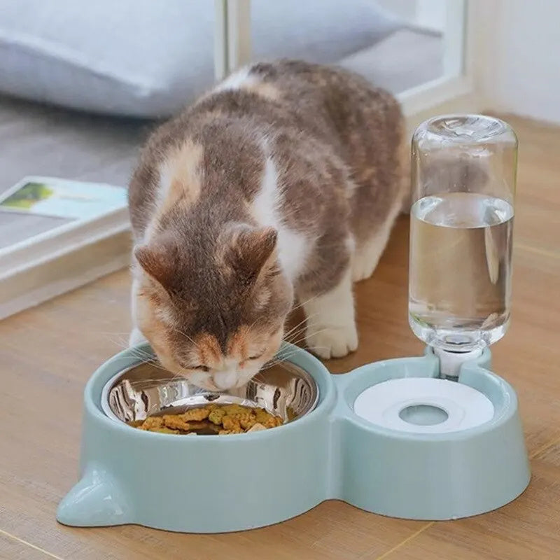 Wefulfil mint green cat feeder with stainless bowl and automatic pet water fountain bottle dispenser