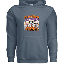 Did You Say Treat Hoodie - Funny Dog Lover Pet Parent Sweatshirt - Purrfect Pet Haven