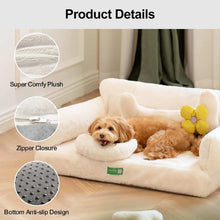 Small dog lying on a cream orthopedic egg foam sofa with plush fabric and anti-slip bottom