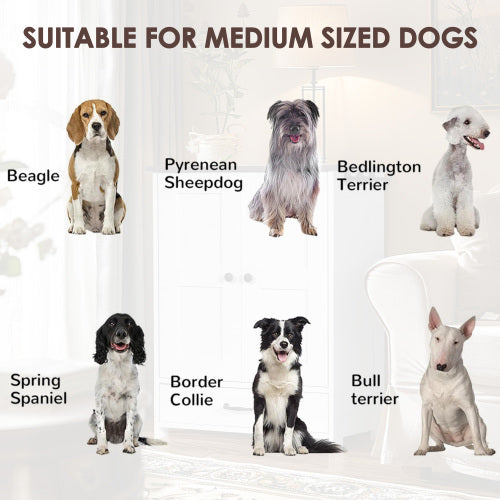 Wefulfil adjustable dog feeding station suitable for medium sized dogs including Beagle Border Collie Bull Terrier