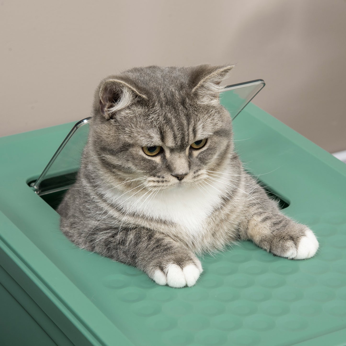 Wefulfil green fully enclosed cat litter box with top entry and gray tabby cat peeking through lid
