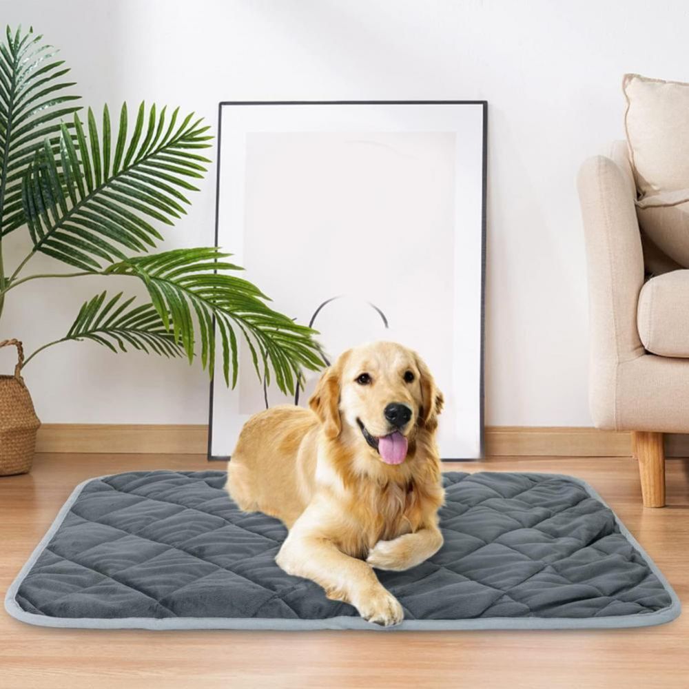 Golden retriever resting on gray quilted Self Heating Pet Pad in living room near sofa and plant