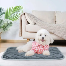 Small white fluffy dog in pink check shirt resting on gray quilted Self Heating Pet Pad in living room