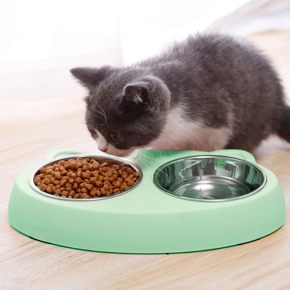 Wefulfil Pet Feeder Stainless Steel Bowls with green plastic base and kitten eating dry food