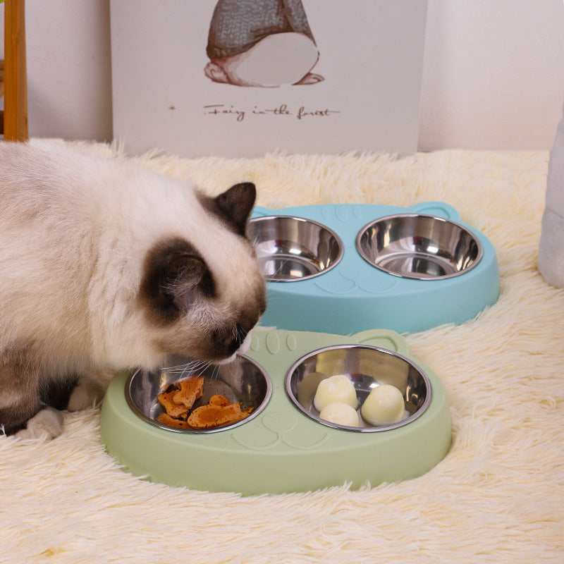 Cat eating from green Pet Feeder Stainless Steel Bowls with an empty blue set on a soft carpet