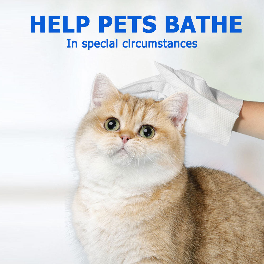 Wefulfil pet cleaning wipes for dogs and cats being used to gently clean a fluffy golden cat