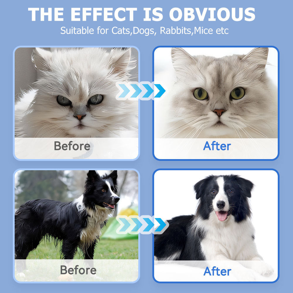 Wefulfil pet cleaning wipes for dogs and cats showing before and after results on a white cat and black white dog