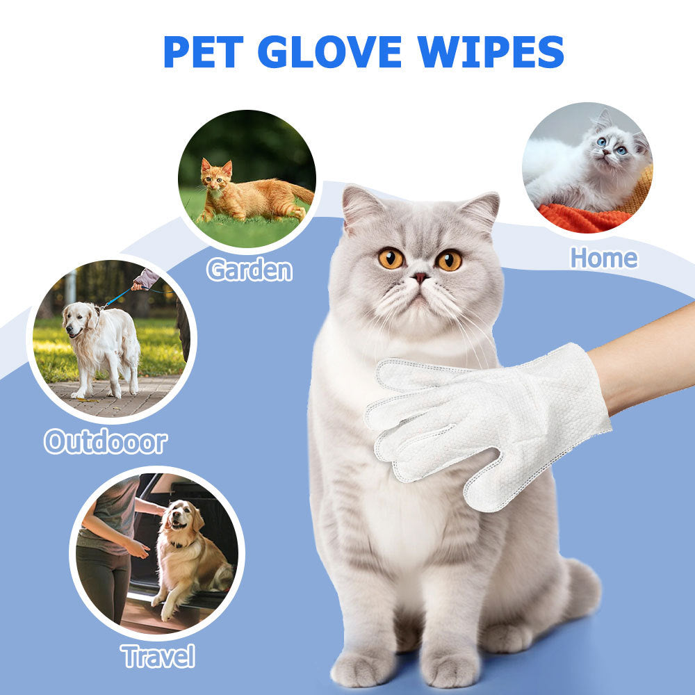 Wefulfil pet cleaning wipes for dogs and cats shown as glove wipe cleaning a gray cat, travel and outdoor use