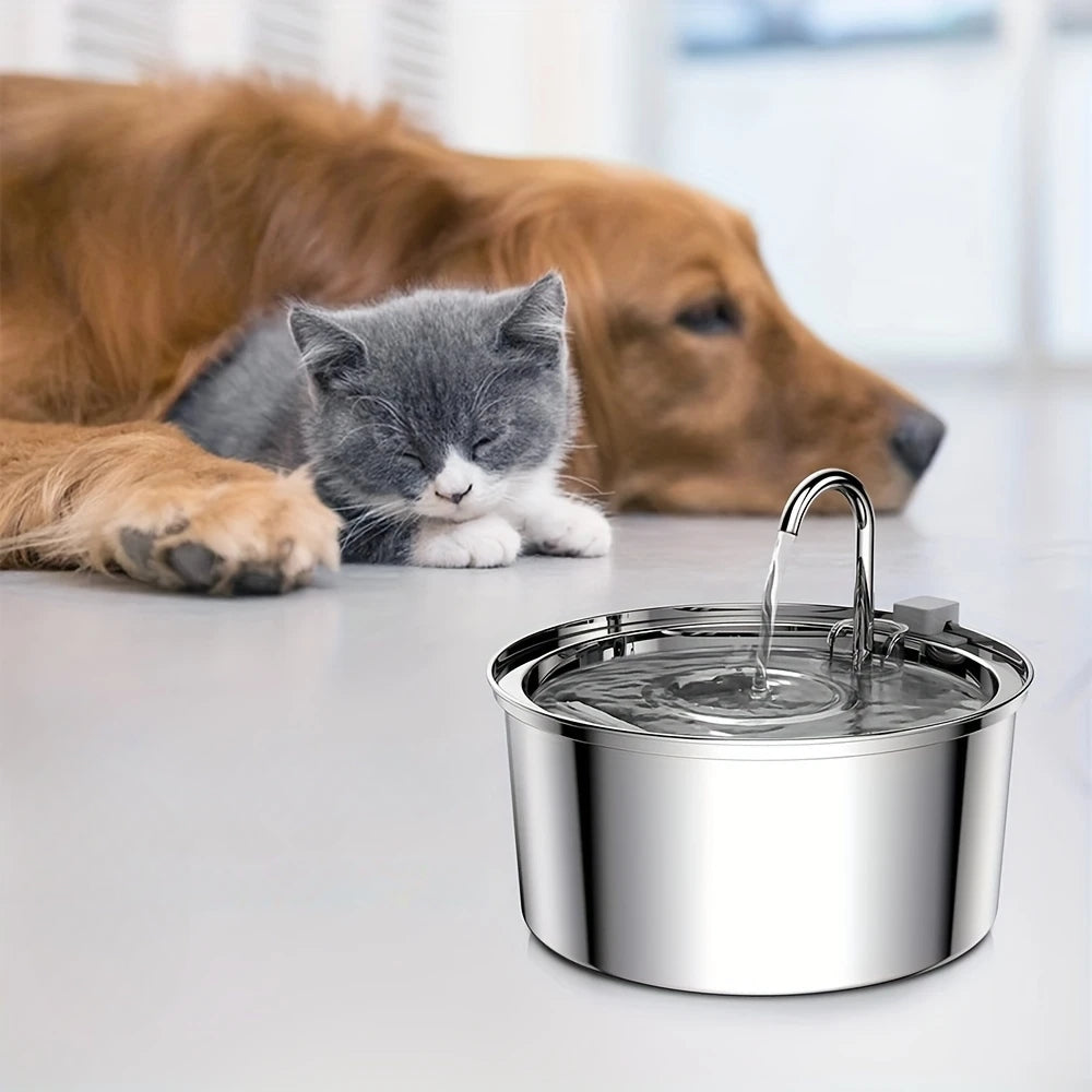 Purrfect Pet Haven stainless steel pet water fountain with flowing spout beside resting cat and dog