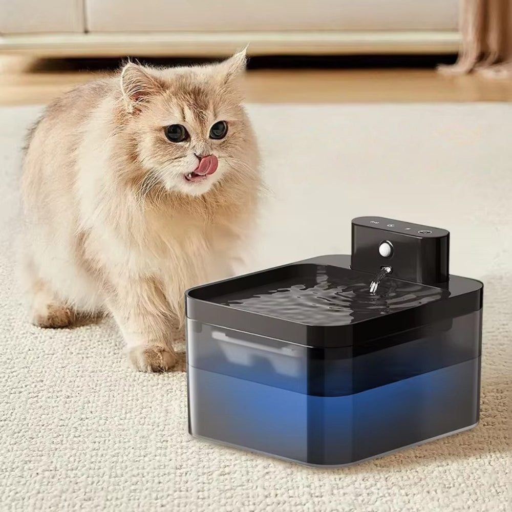 Purrfect Pet Haven wireless pet water fountain black and blue square with flowing spout beside a fluffy cat