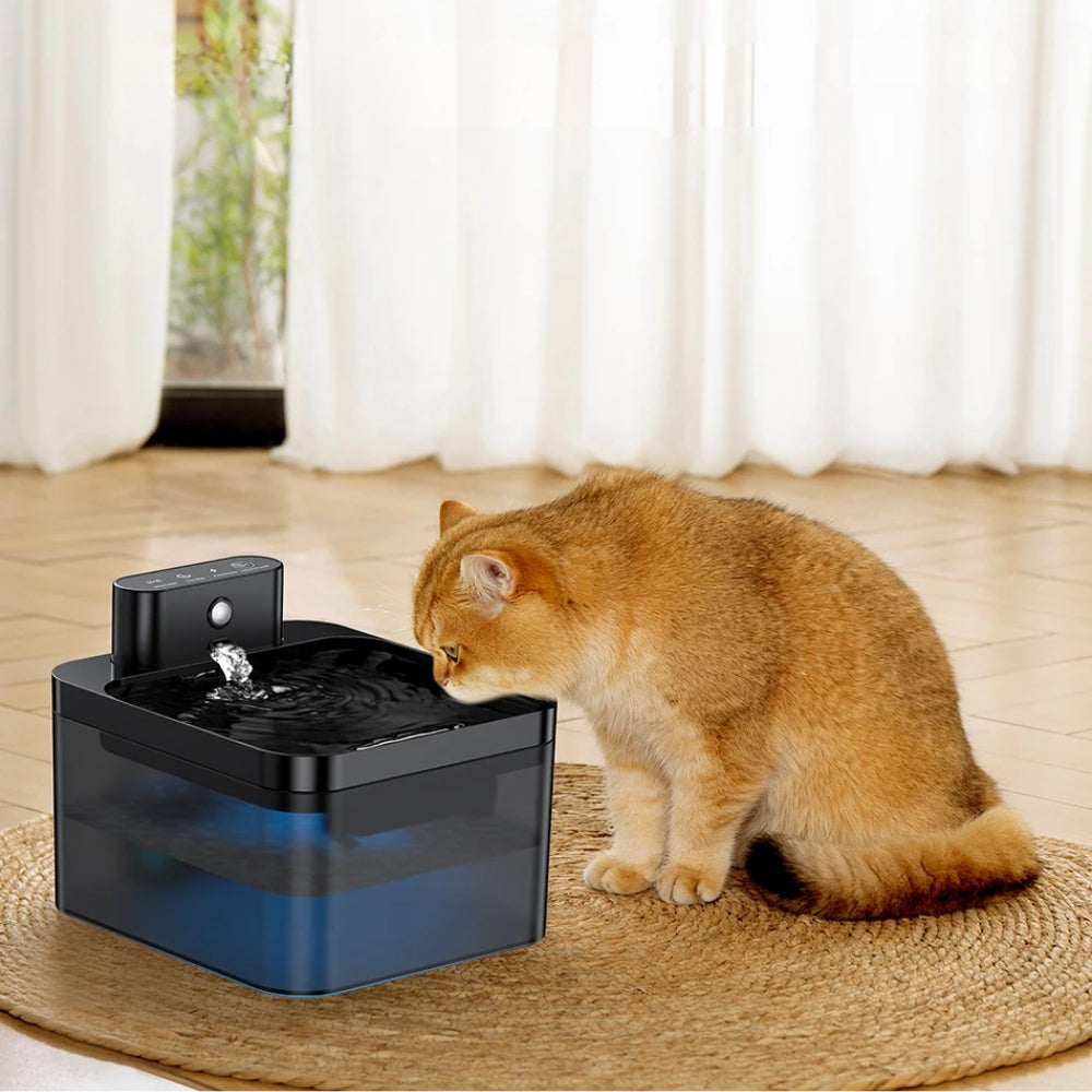 Purrfect Pet Haven wireless pet water fountain black and blue recirculating spout on rug with orange cat
