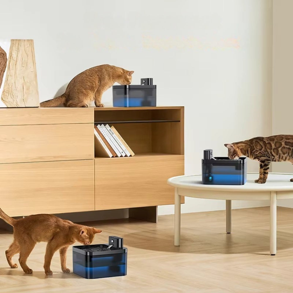 Purrfect Pet Haven wireless pet water fountain in blue on floor and table with three cats in living room
