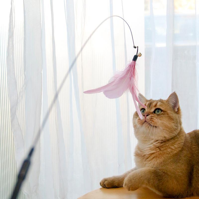 Wefulfil Retractable Interactive Laser with pink feather toy engaging a curious orange cat indoors