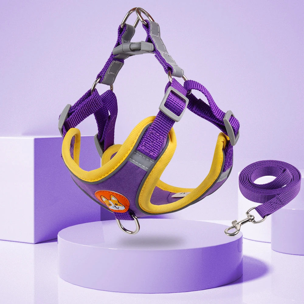 Wefulfil purple and yellow padded no pull dog harness for small dogs with matching leash and reflective trim