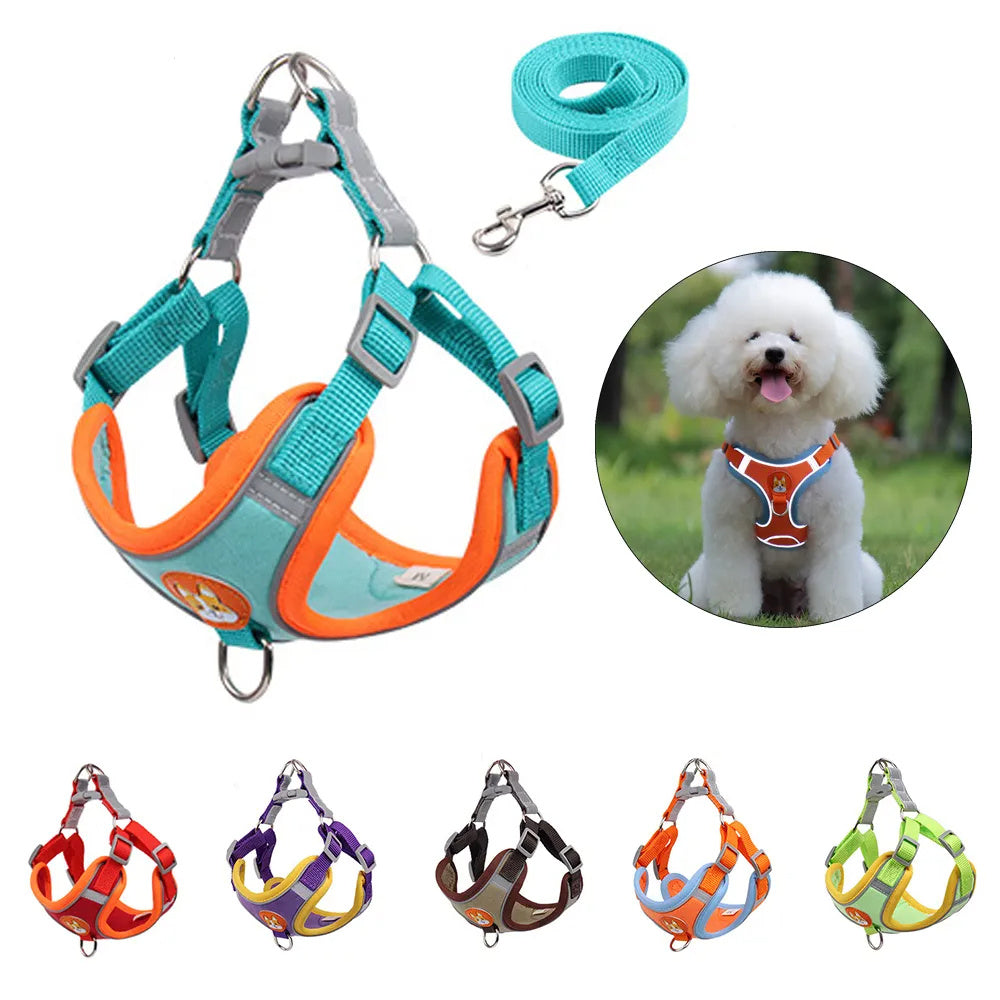 Wefulfil no pull dog harness for small dogs turquoise padded adjustable harness with leash