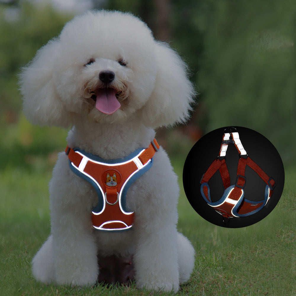 Wefulfil orange reflective no pull dog harness for small dogs on white fluffy Bichon puppy sitting on grass