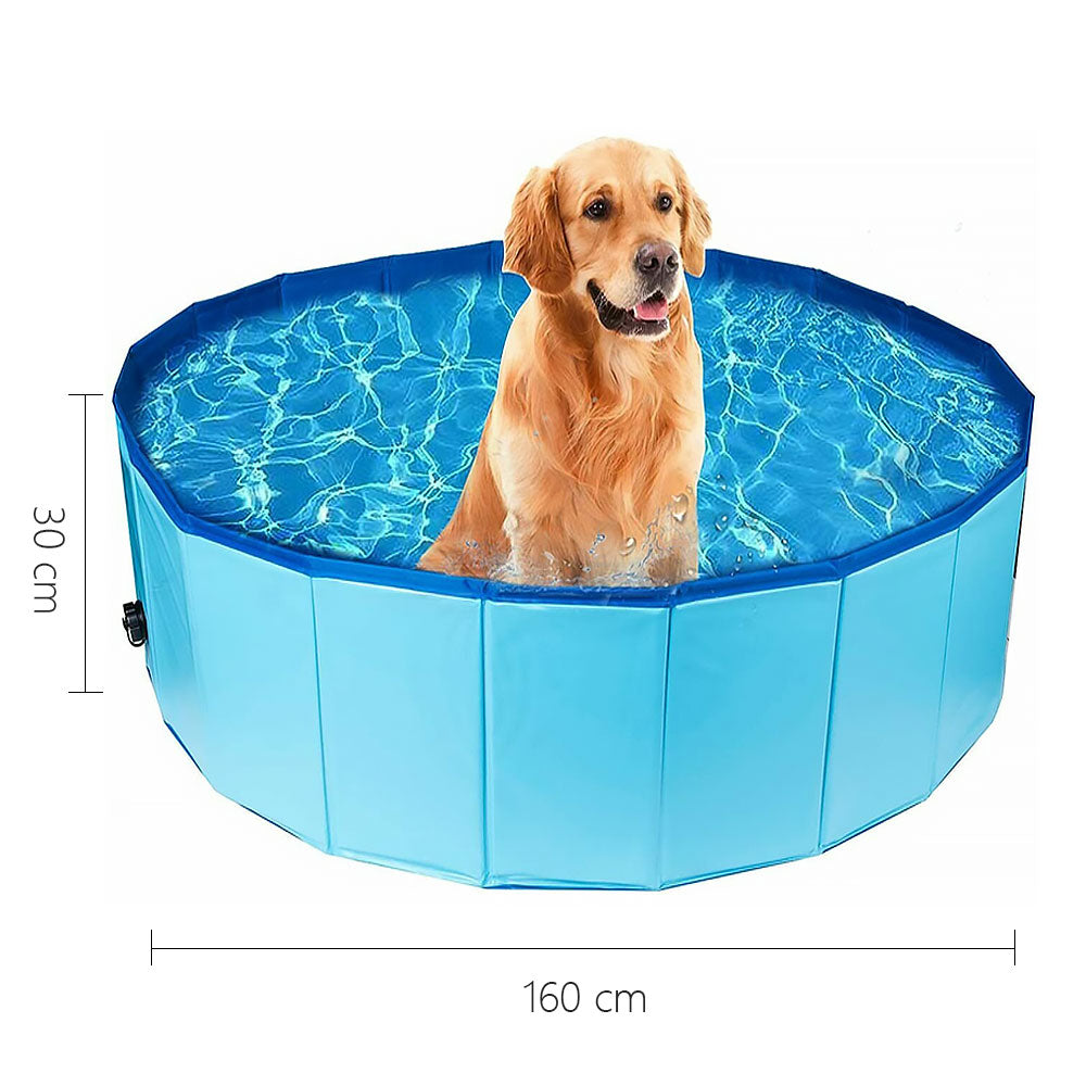 Purrfect Pet Haven Pet Outdoor Swimming Pool 160cm round blue foldable pool 30cm tall with golden retriever