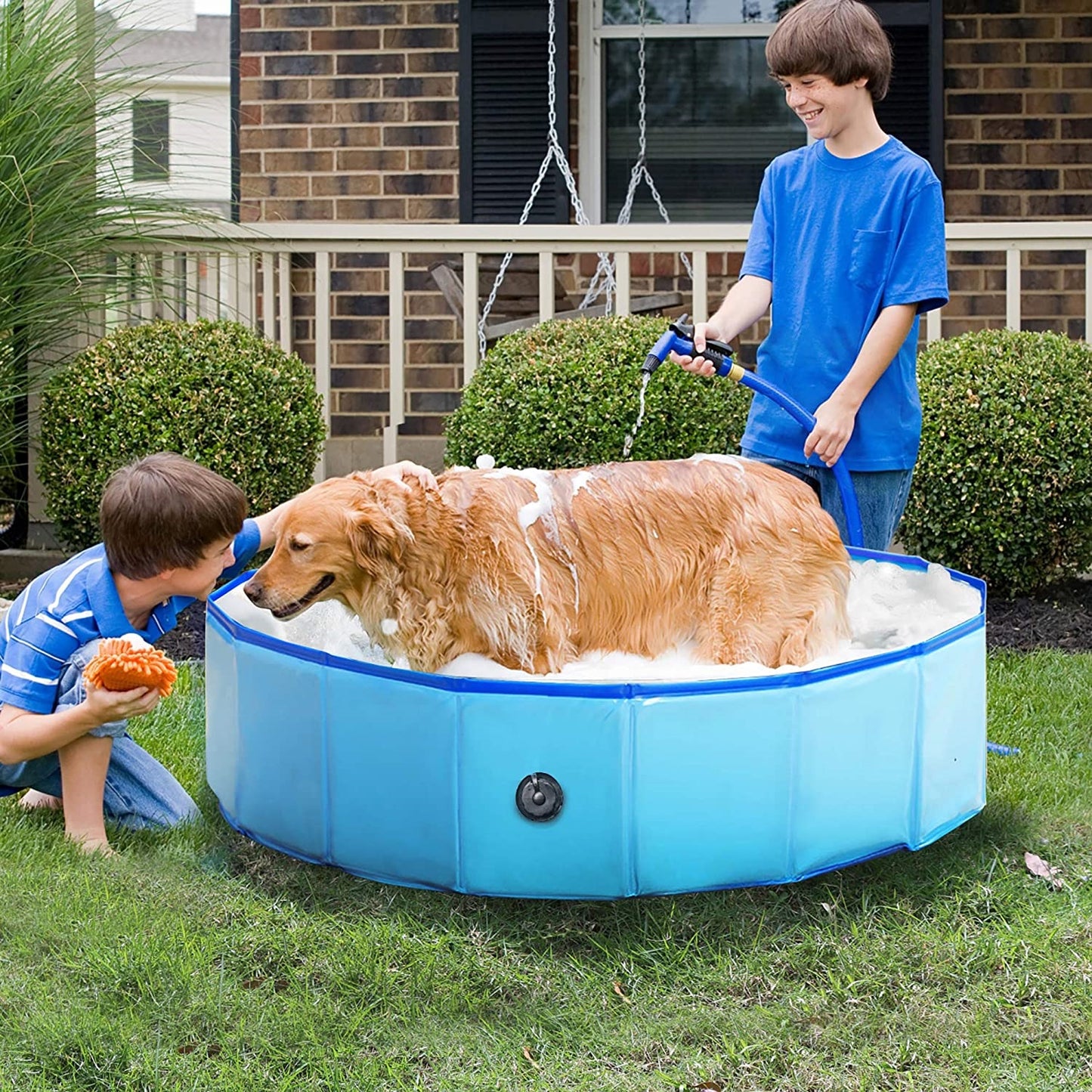 Purrfect Pet Haven Pet Outdoor Swimming Pool with golden retriever being rinsed by two boys in backyard